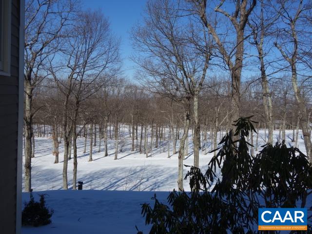 2052 Stone Ridge Roseland, VA 22967 - Photo 2 of 22 Gallery Image 2