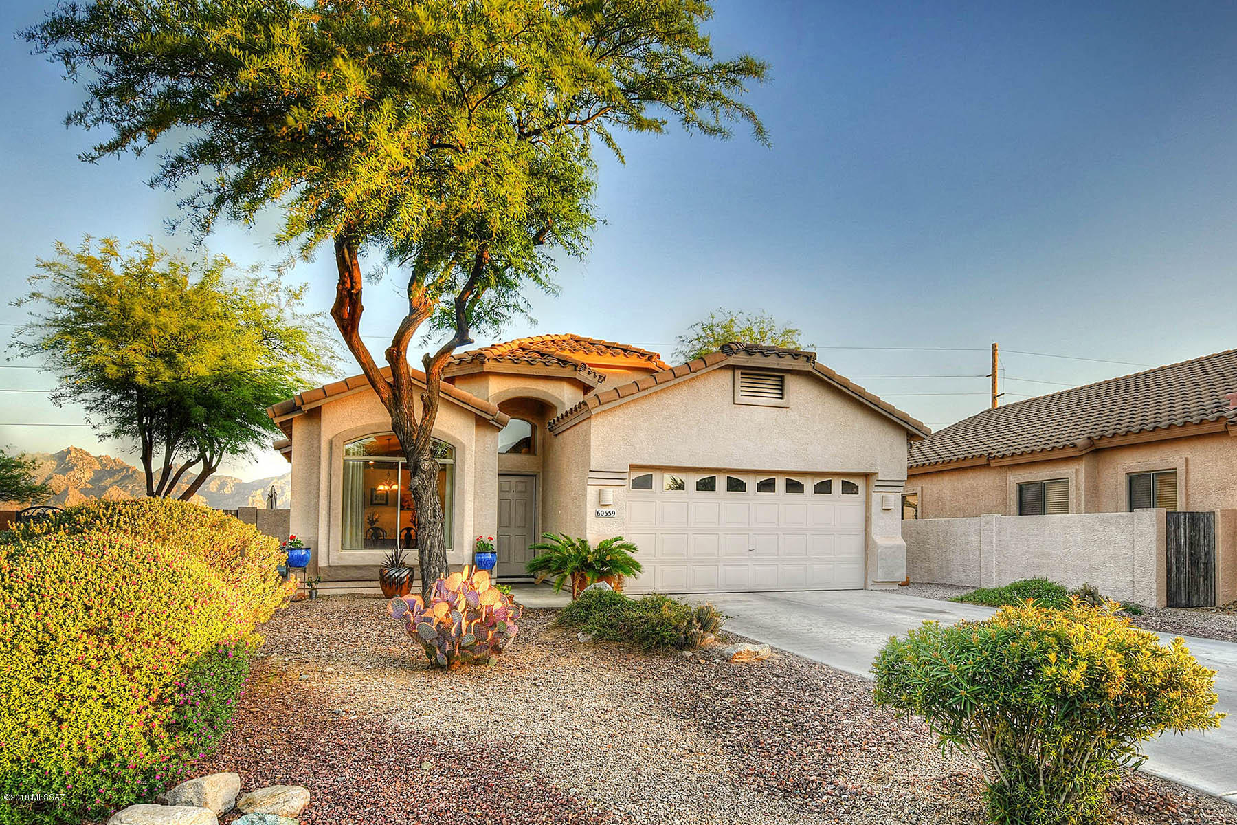60559 East Blackcrest Loop Tucson, AZ 85739 - Photo 1 of 33