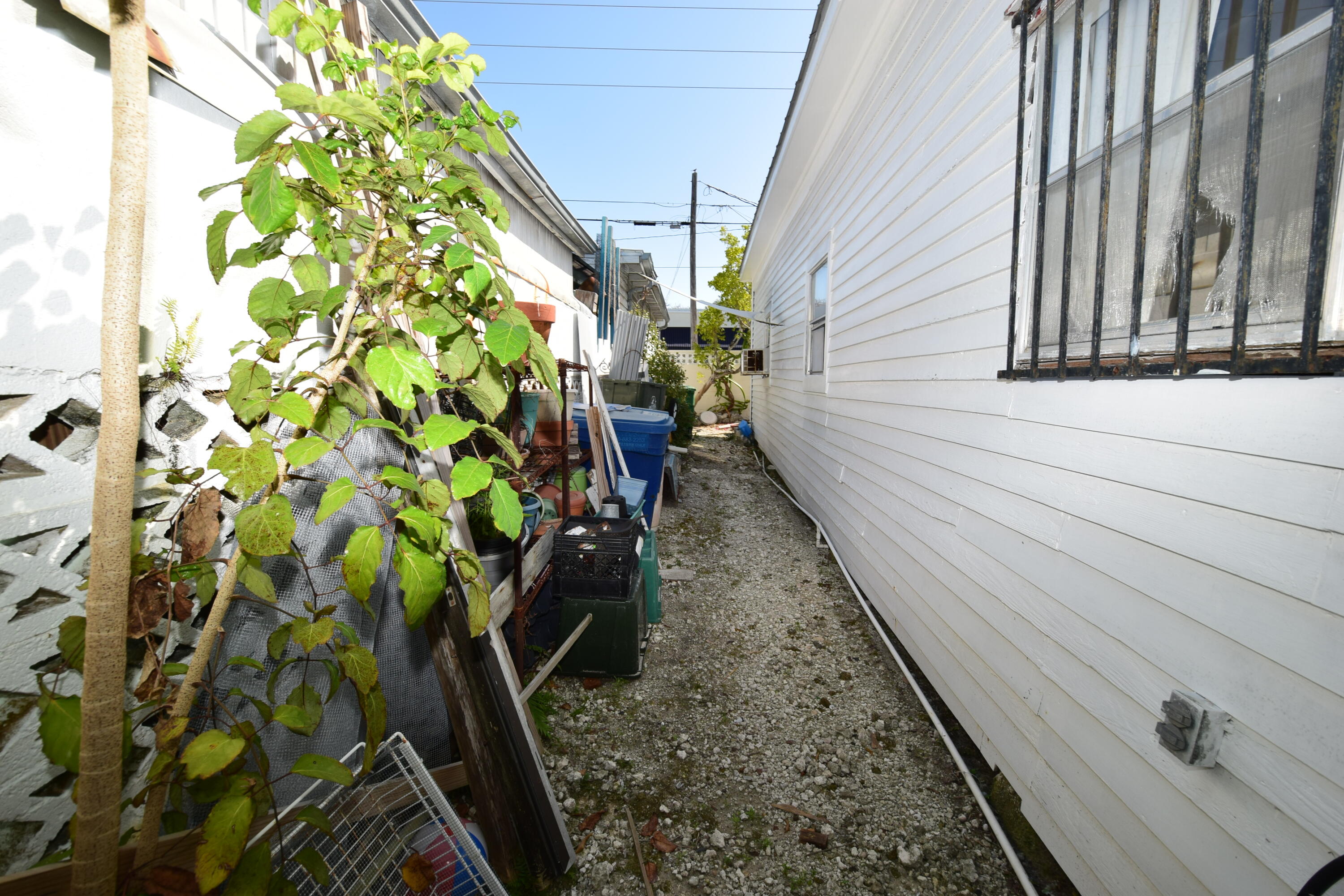 1102 Whitehead Street Key West, FL 33040 - Photo 17 of 22 a backyard of a house with lots of green space