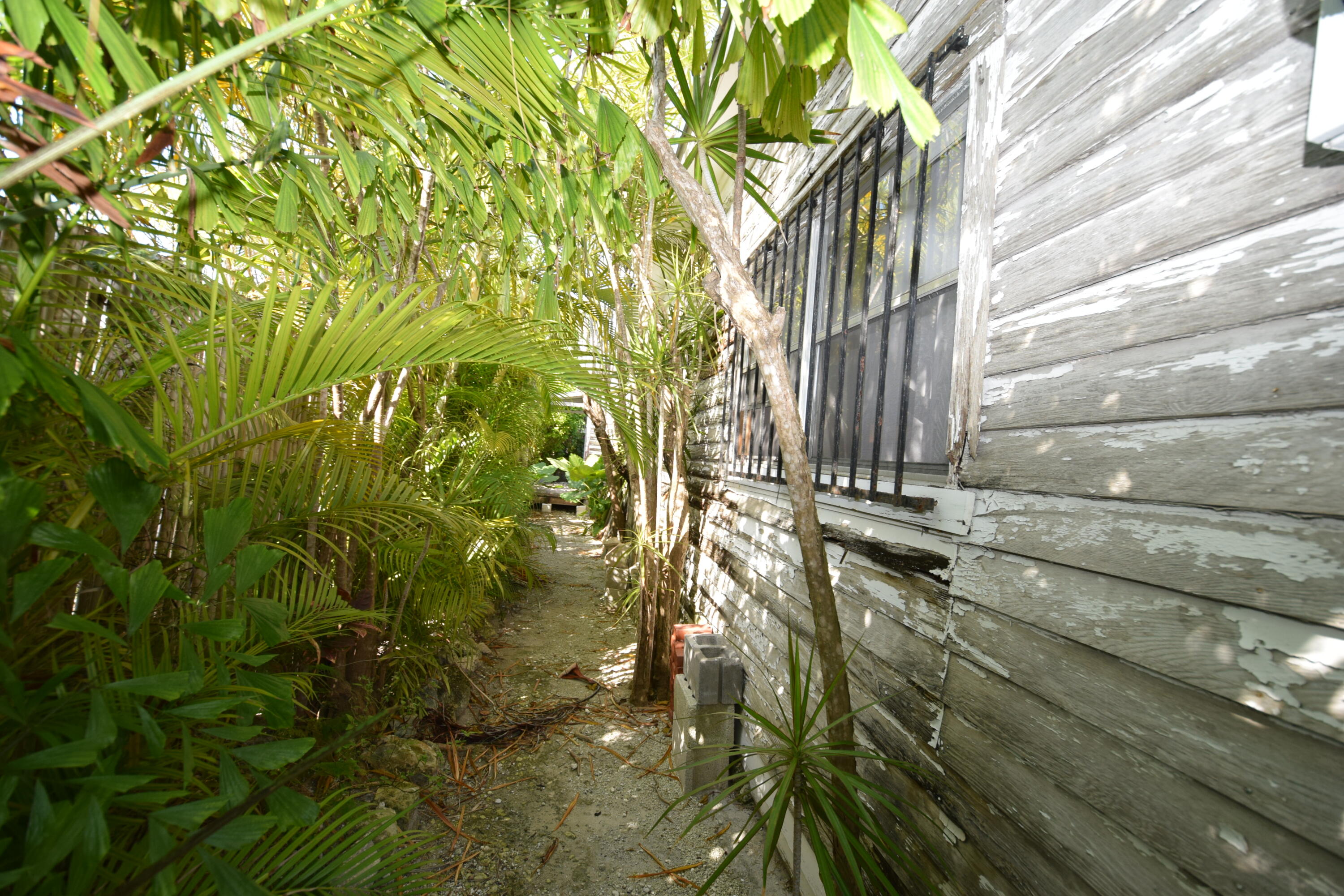 1102 Whitehead Street Key West, FL 33040 - Photo 20 of 22 a view of a pathway of a building