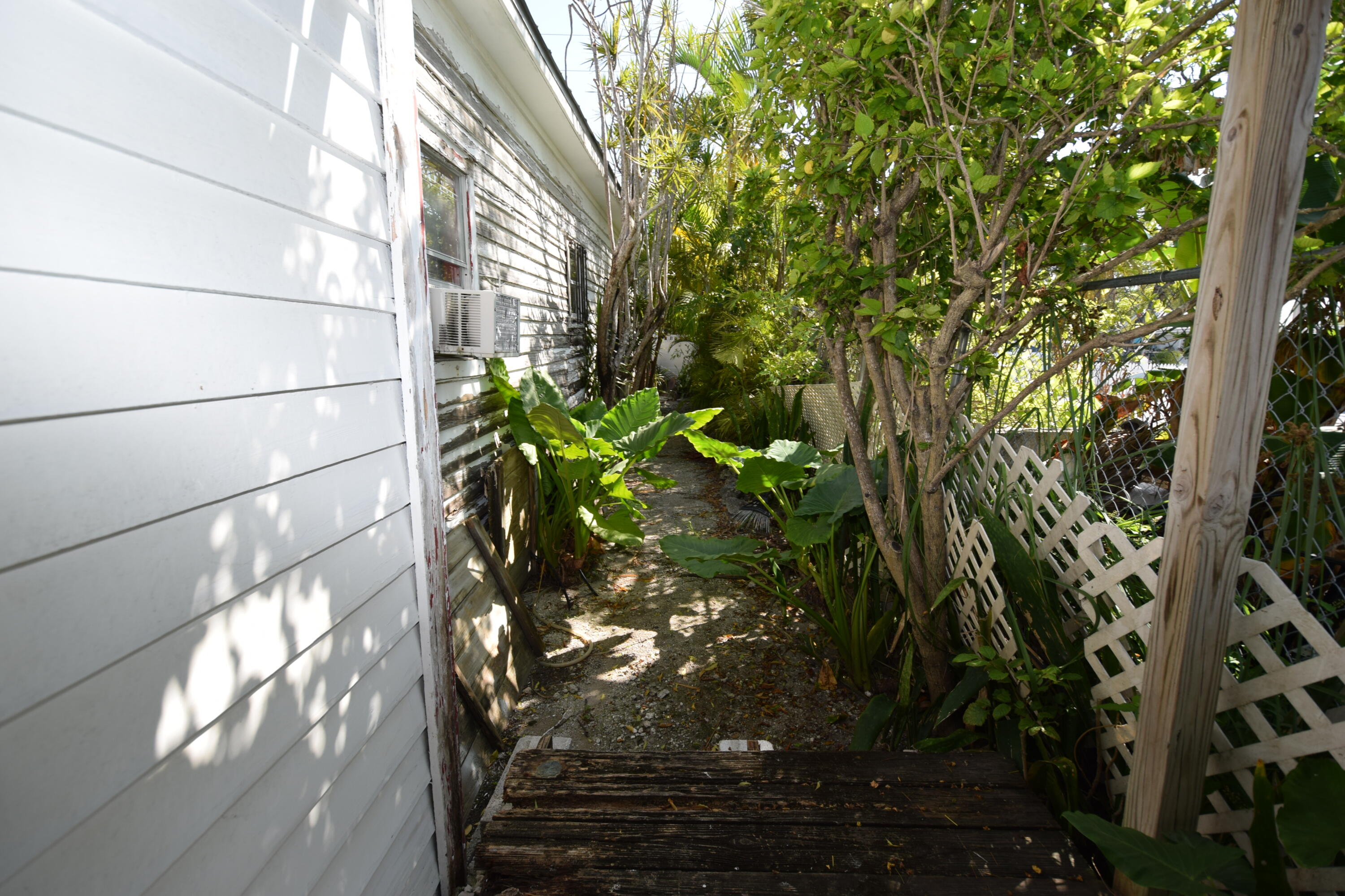 1102 Whitehead Street Key West, FL 33040 - Photo 21 of 22 a close up of a plant in a garden