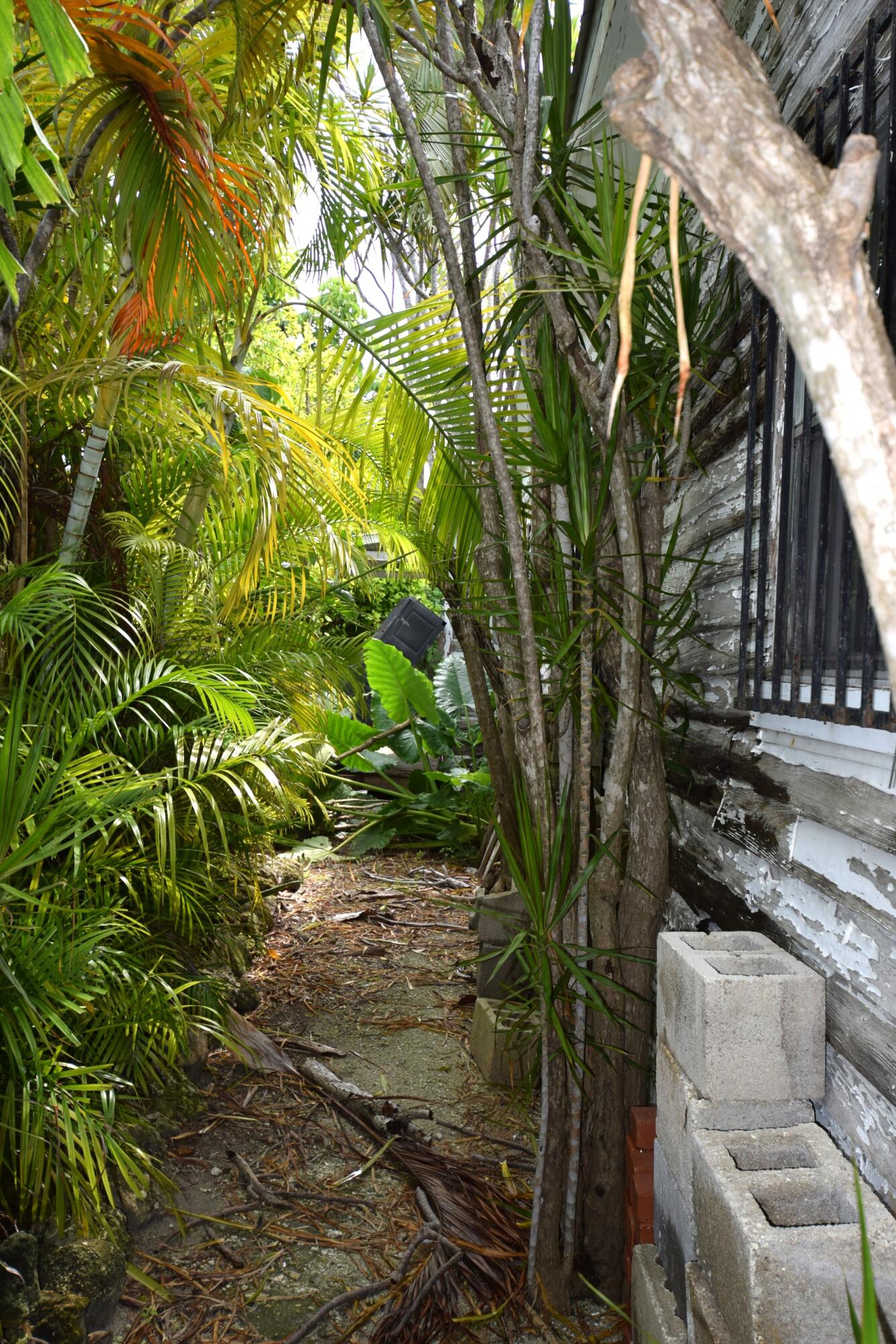 1102 Whitehead Street Key West, FL 33040 - Photo 6 of 22 a view of outdoor space and yard