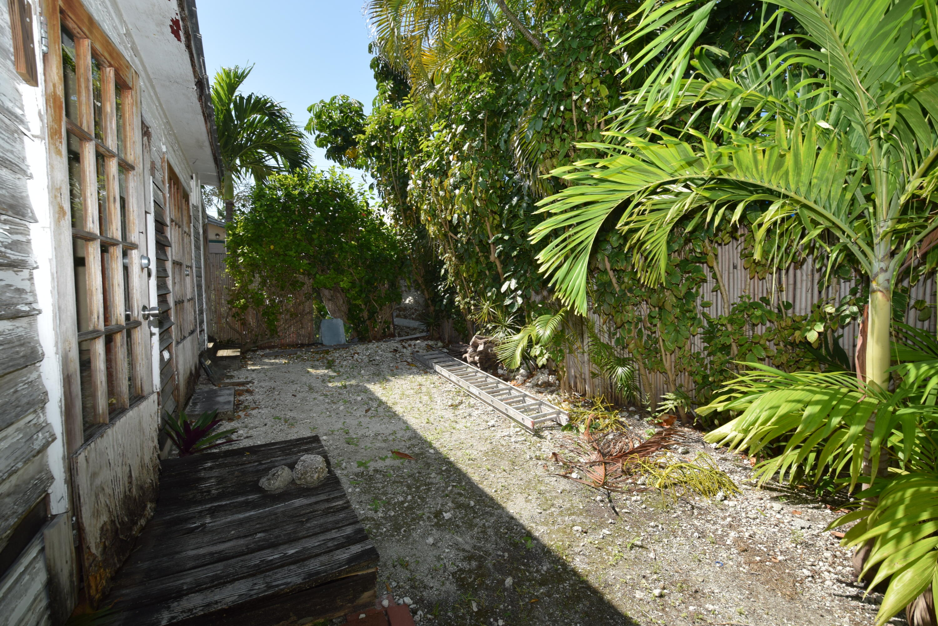 1102 Whitehead Street Key West, FL 33040 - Photo 9 of 22 a backyard of a house