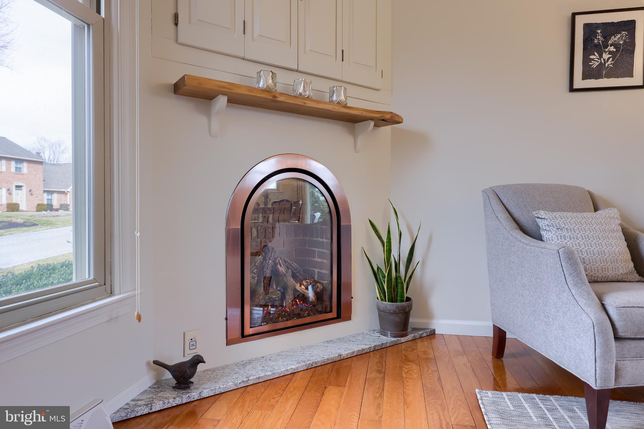 202 Queens Gate Road Lititz, PA 17543 - Photo 16 of 34 Corner fireplace