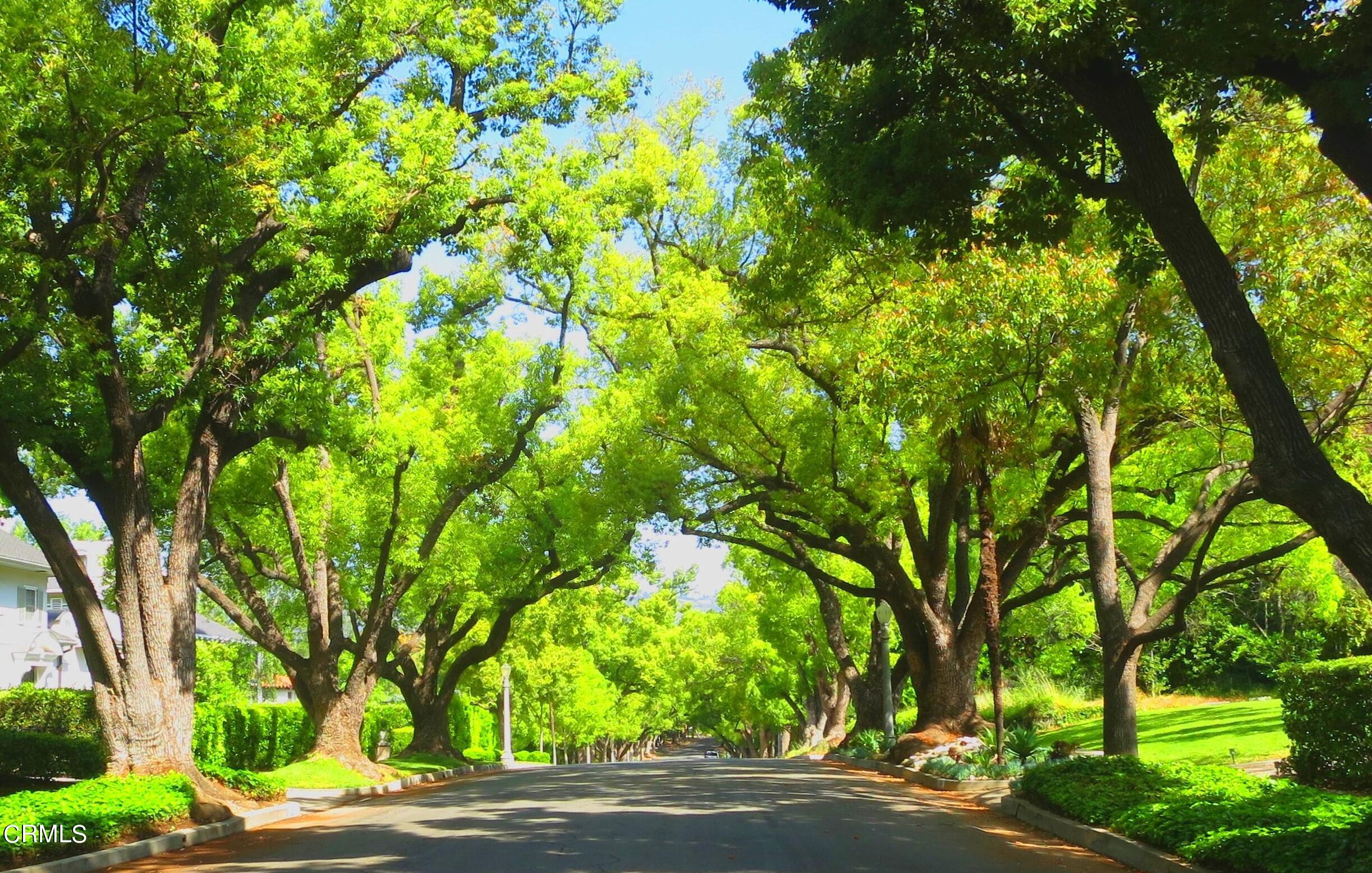 509 Prospect Boulevard Pasadena, CA 91103 - Photo 2 of 68 IMG_9056xxxx