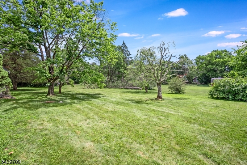 19 Yardley Road Mendham, NJ 07945 - Photo 39 of 41