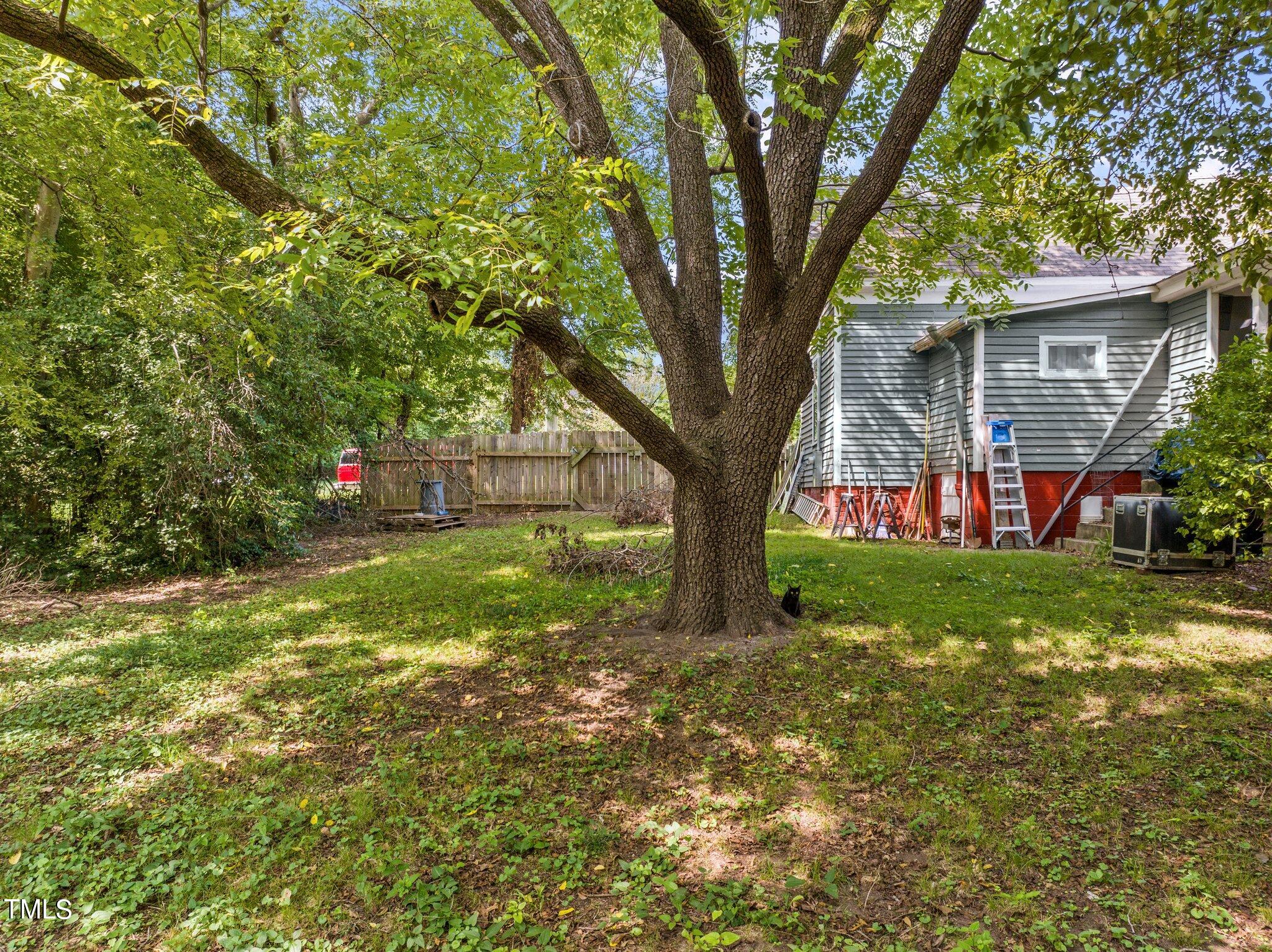 1601 Green Street Raleigh, NC 27603 - Photo 20 of 28 Yard