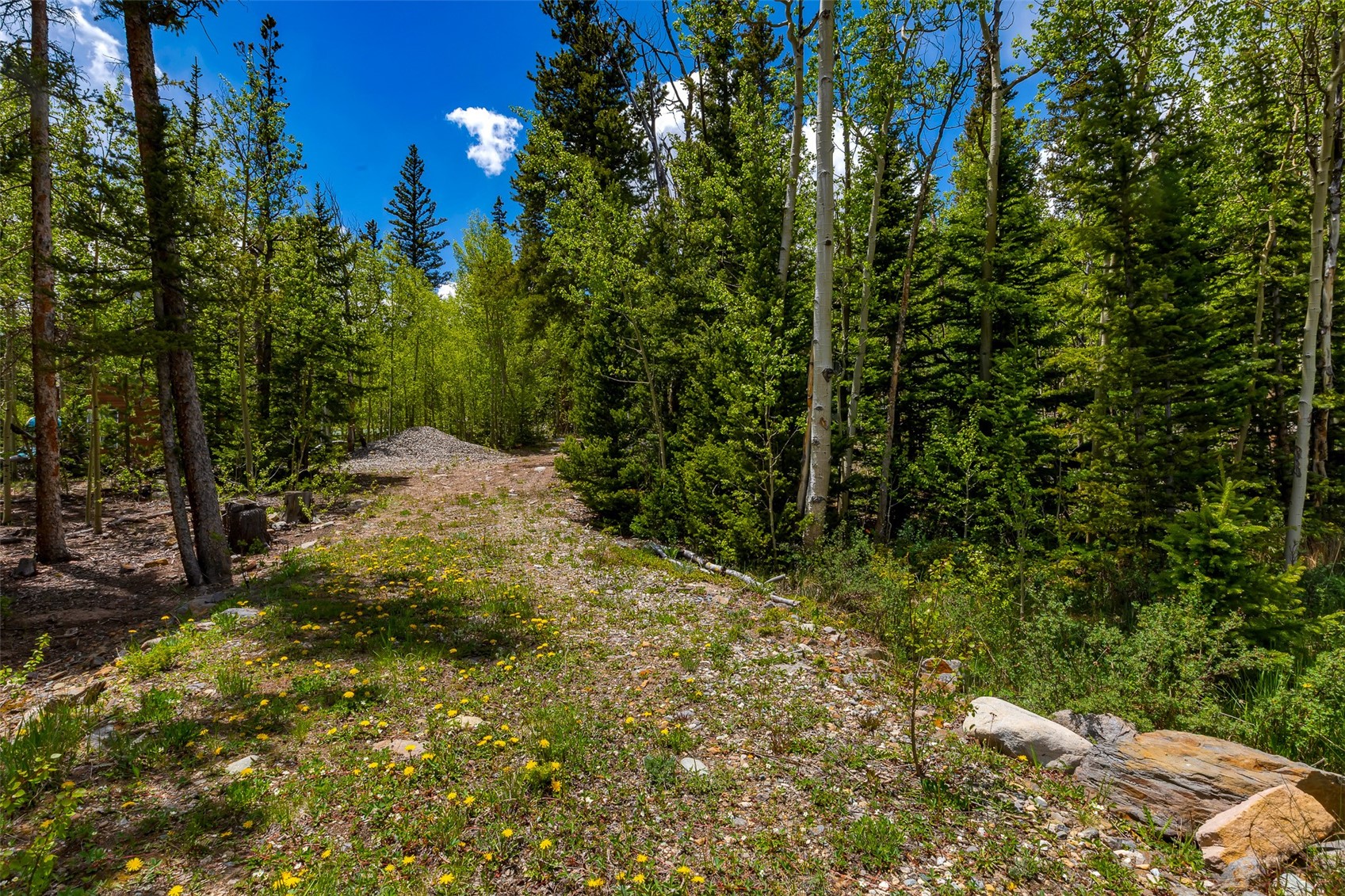 522 Quartzville Road Alma, CO 80420 - Photo 2 of 46