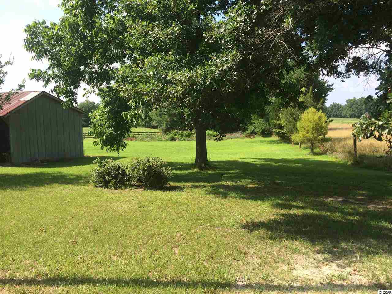 401 Rabon Road Aynor, SC 29511 - Photo 10 of 22 Gallery Image 10