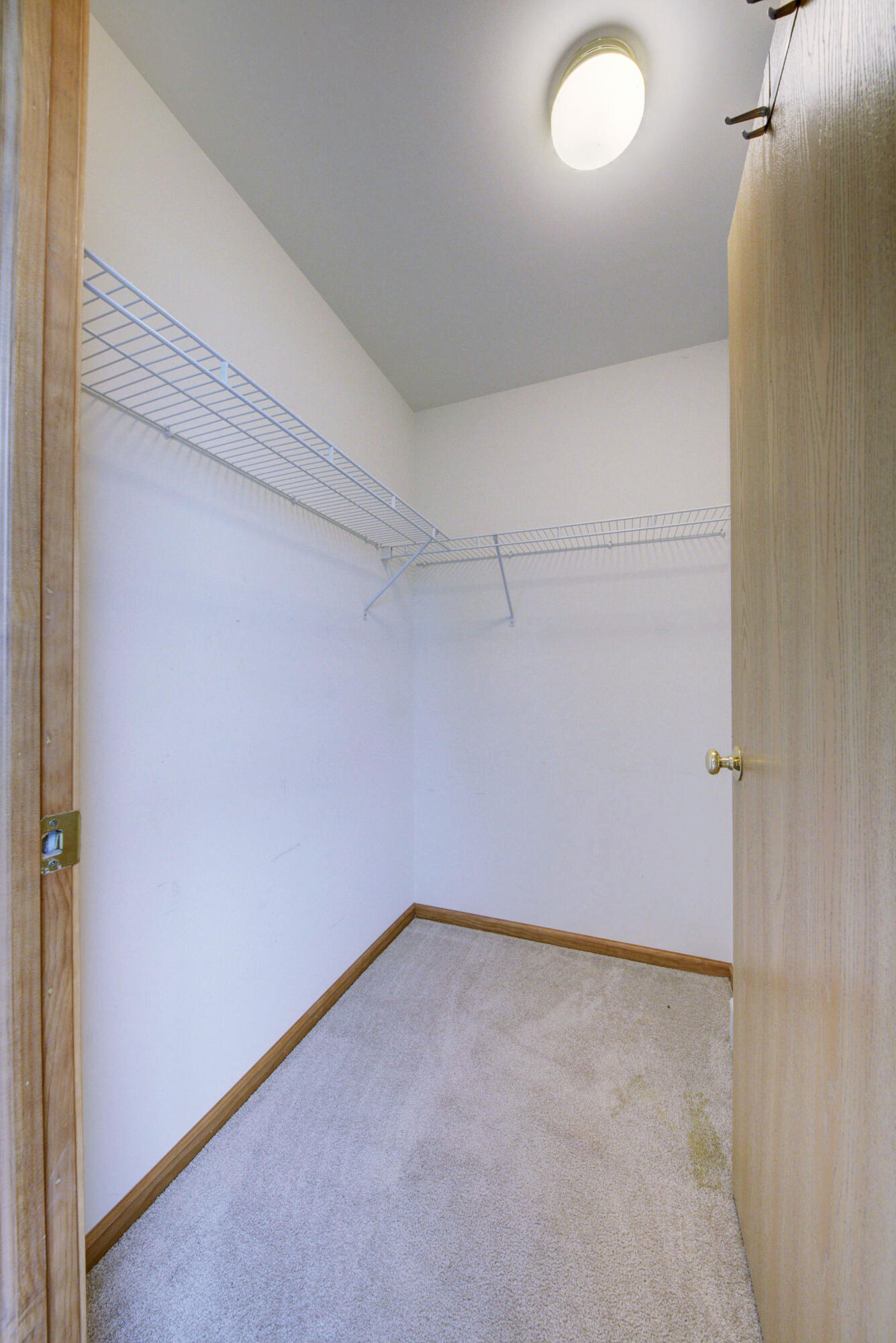 2335 Geiger Road Ida, MI 48140 - Photo 36 of 73 37