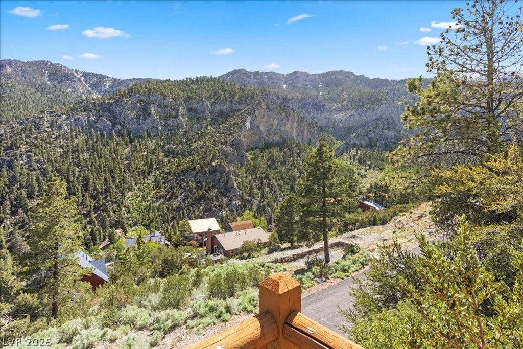 4947 Snow White Road Mount Charleston, NV 89124 - Photo 43 of 92