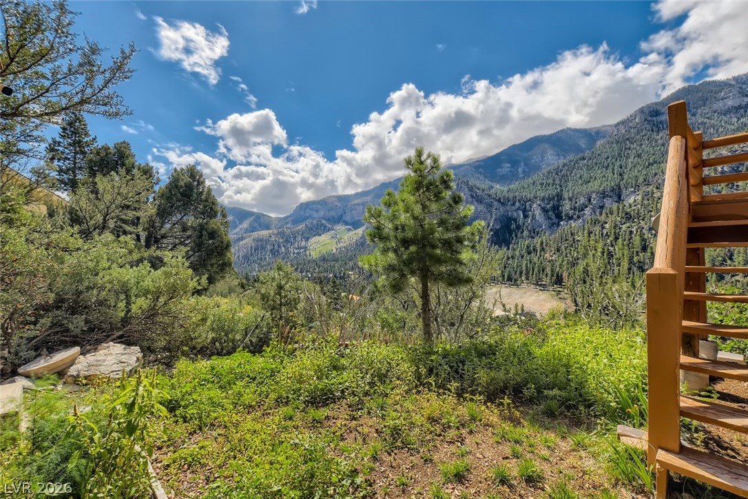 4947 Snow White Road Mount Charleston, NV 89124 - Photo 57 of 92