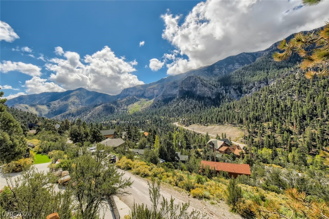 4947 Snow White Road Mount Charleston, NV 89124 - Photo 58 of 92