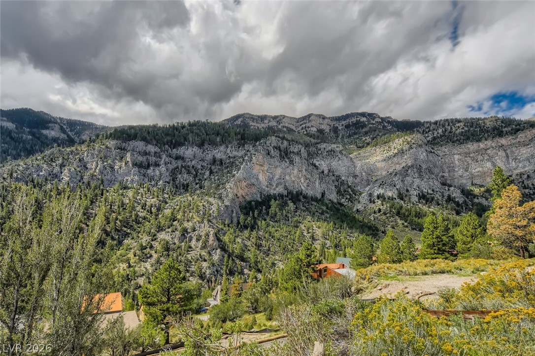 4947 Snow White Road Mount Charleston, NV 89124 - Photo 60 of 92