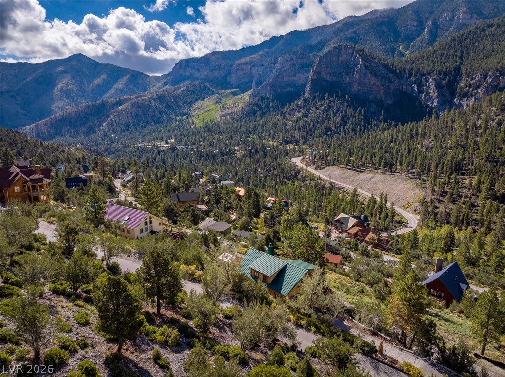 4947 Snow White Road Mount Charleston, NV 89124 - Photo 67 of 92