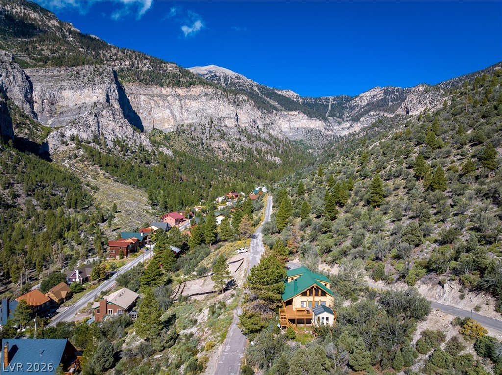 4947 Snow White Road Mount Charleston, NV 89124 - Photo 72 of 92