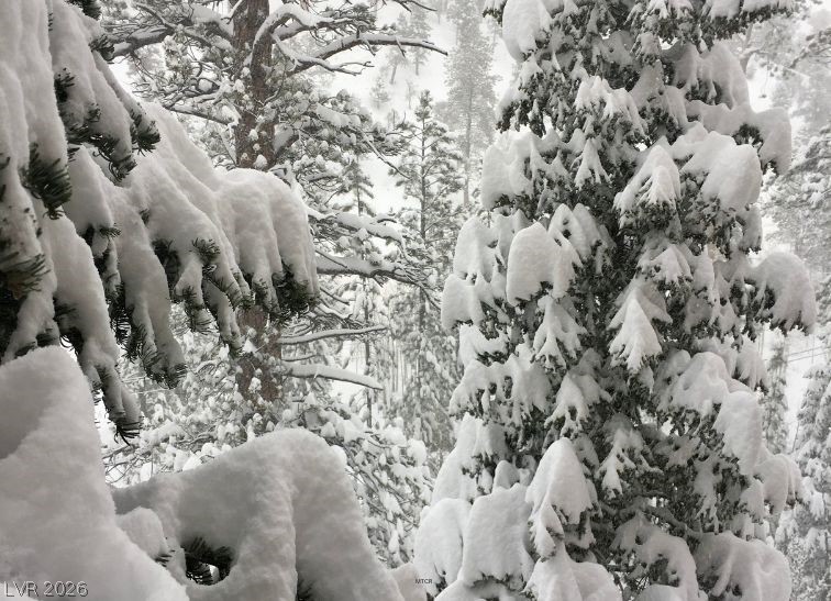 4947 Snow White Road Mount Charleston, NV 89124 - Photo 77 of 92 Welcome to Mt. Charleston