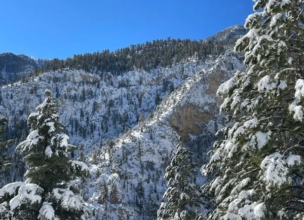 $1,275,000 | 4947 Snow White Road, Mount Charleston, NV 89124