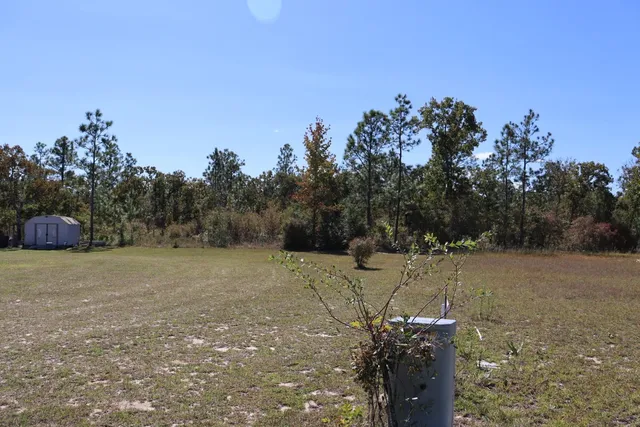 $18,000 | 0 Carlene Lane, Quincy, FL 32351