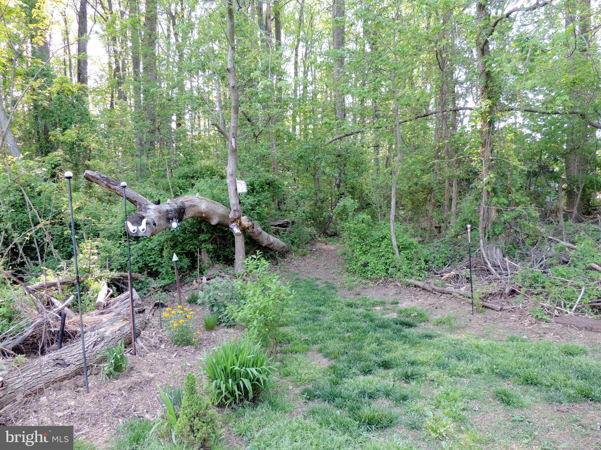 3355 Easton Road Edgewater, MD 21037 - Photo 25 of 30 Community
