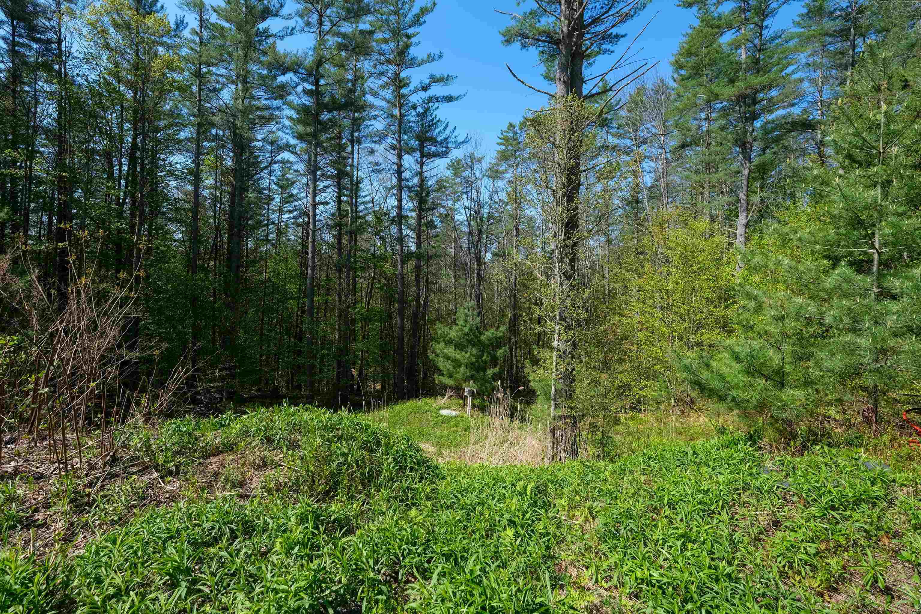 0 Cedar Drive Ludlow, VT 05149 - Photo 2 of 15