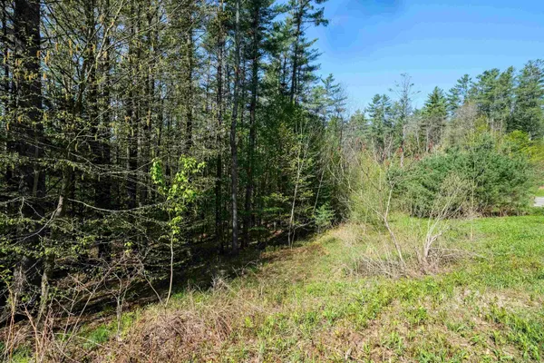 $139,900 | 0 Cedar Drive, Ludlow, VT 05149