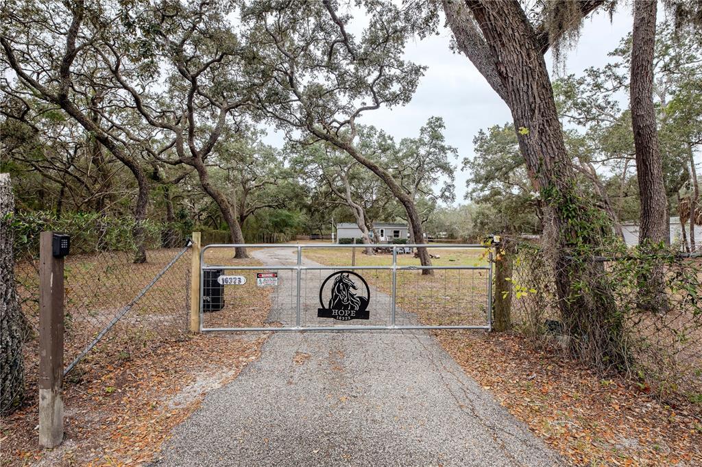 16323 Alliance Lane Spring Hill, FL 34610 - Photo 21 of 34
