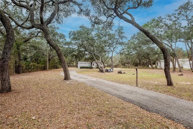 a view of outdoor space with trees