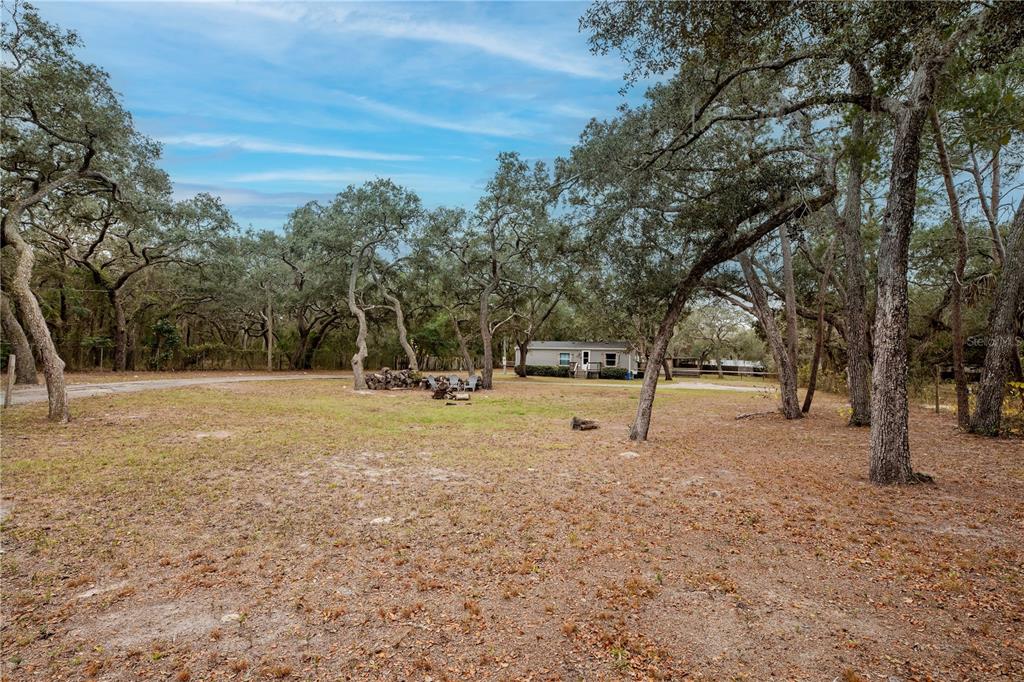 16323 Alliance Lane Spring Hill, FL 34610 - Photo 23 of 34 a view of outdoor space with trees