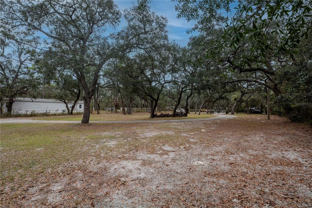 16323 Alliance Lane Spring Hill, FL 34610 - Photo 26 of 34 a view of outdoor space with trees