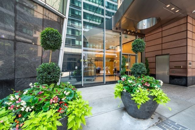 a view of a garden with plants
