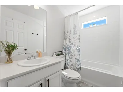 a bathroom with a sink a toilet and a shower