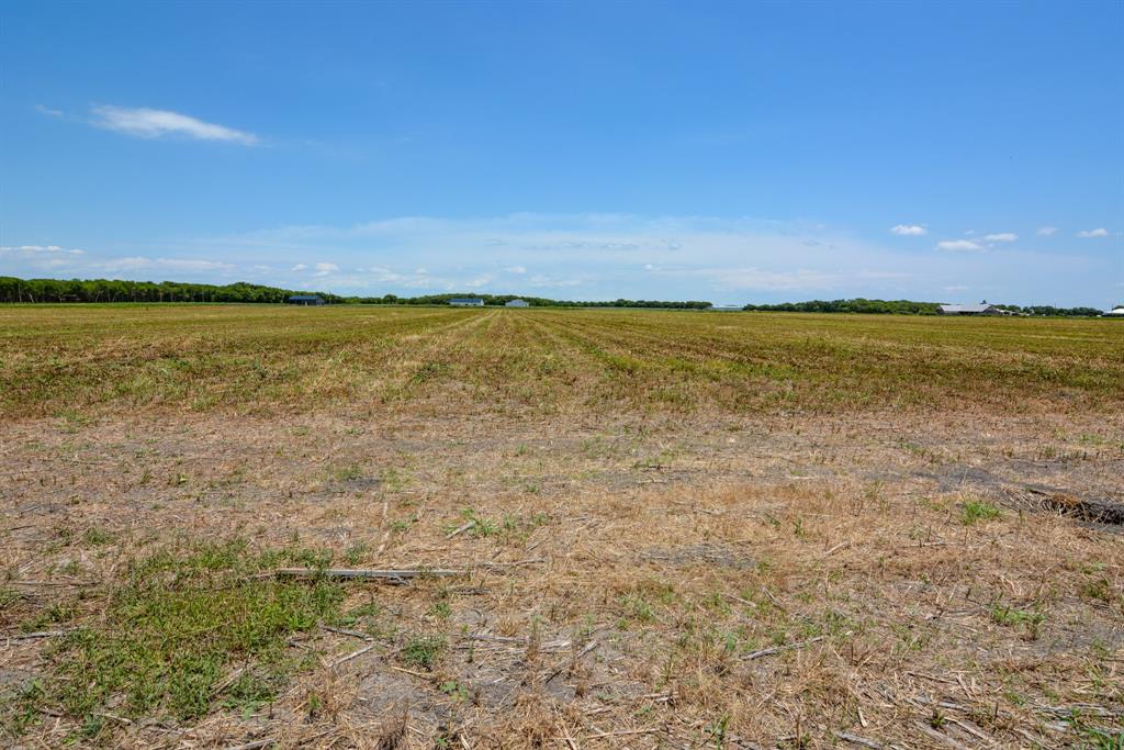 9117 County Road 101 Grandview, TX 76050 - Photo 6 of 9