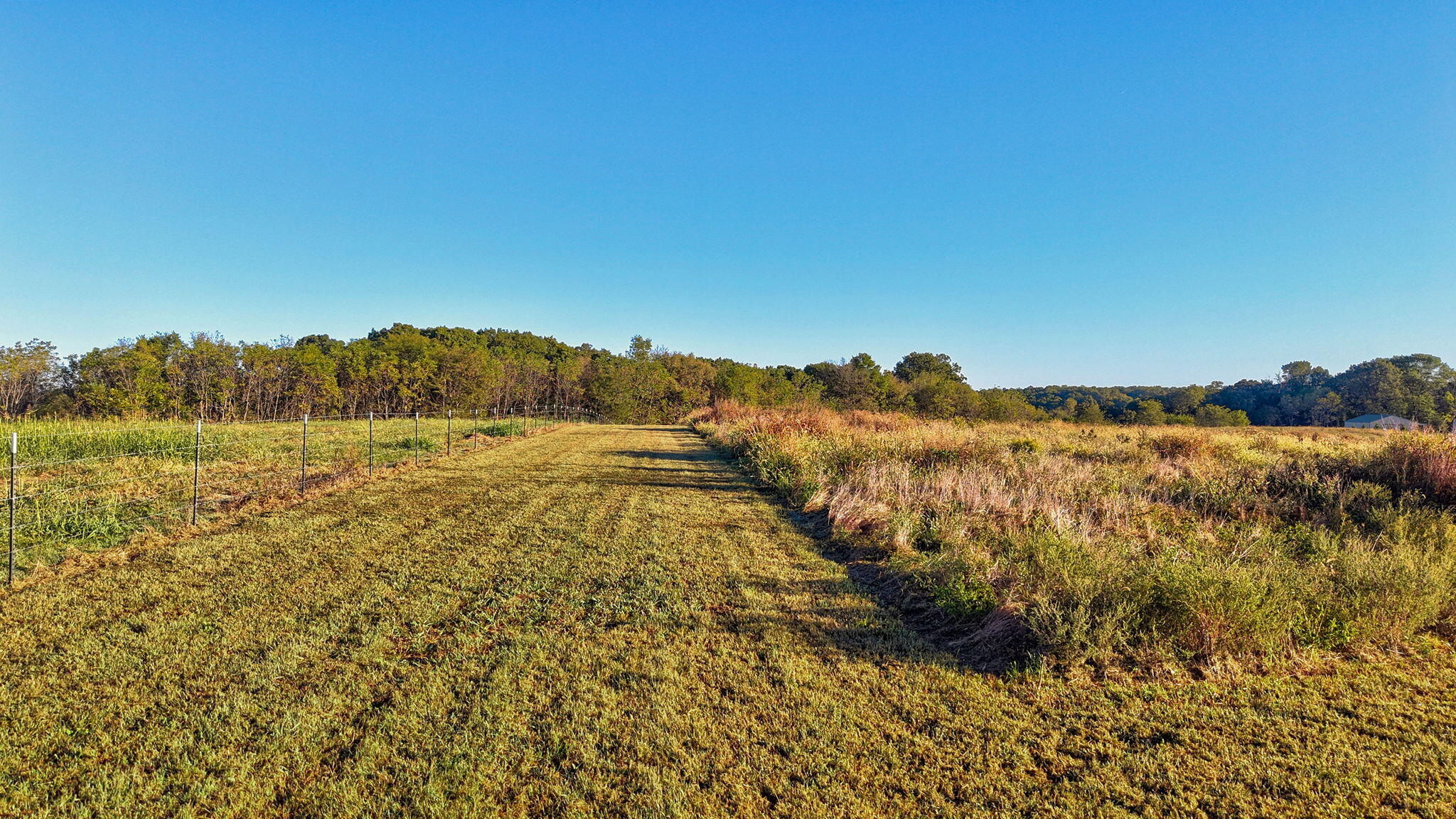 8.5-acres Honeysuckle Road Billings, MO 65610 - Photo 7 of 12 large-01a110a4-189f-73a6-ade2-4424a65d7e