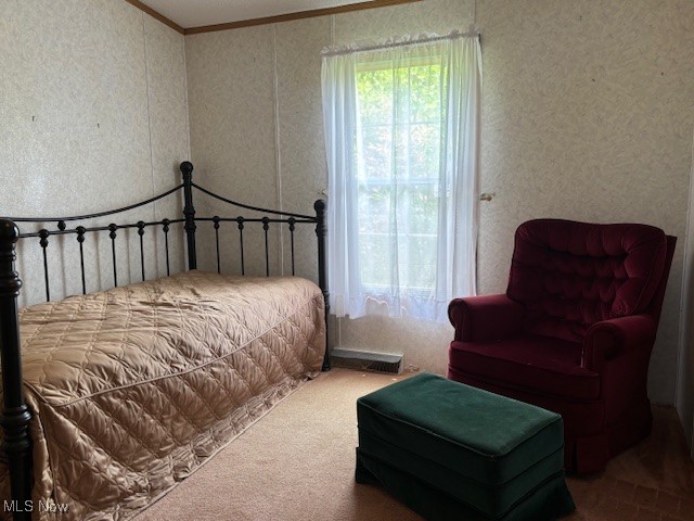 12575 Zane Road Lore City, OH 43755 - Photo 29 of 37 Carpeted bedroom with crown molding