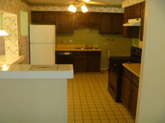1513 North Ridge Avenue Arlington Heights, IL 60004 - Photo 5 of 14 a bathroom with a sink and a mirror