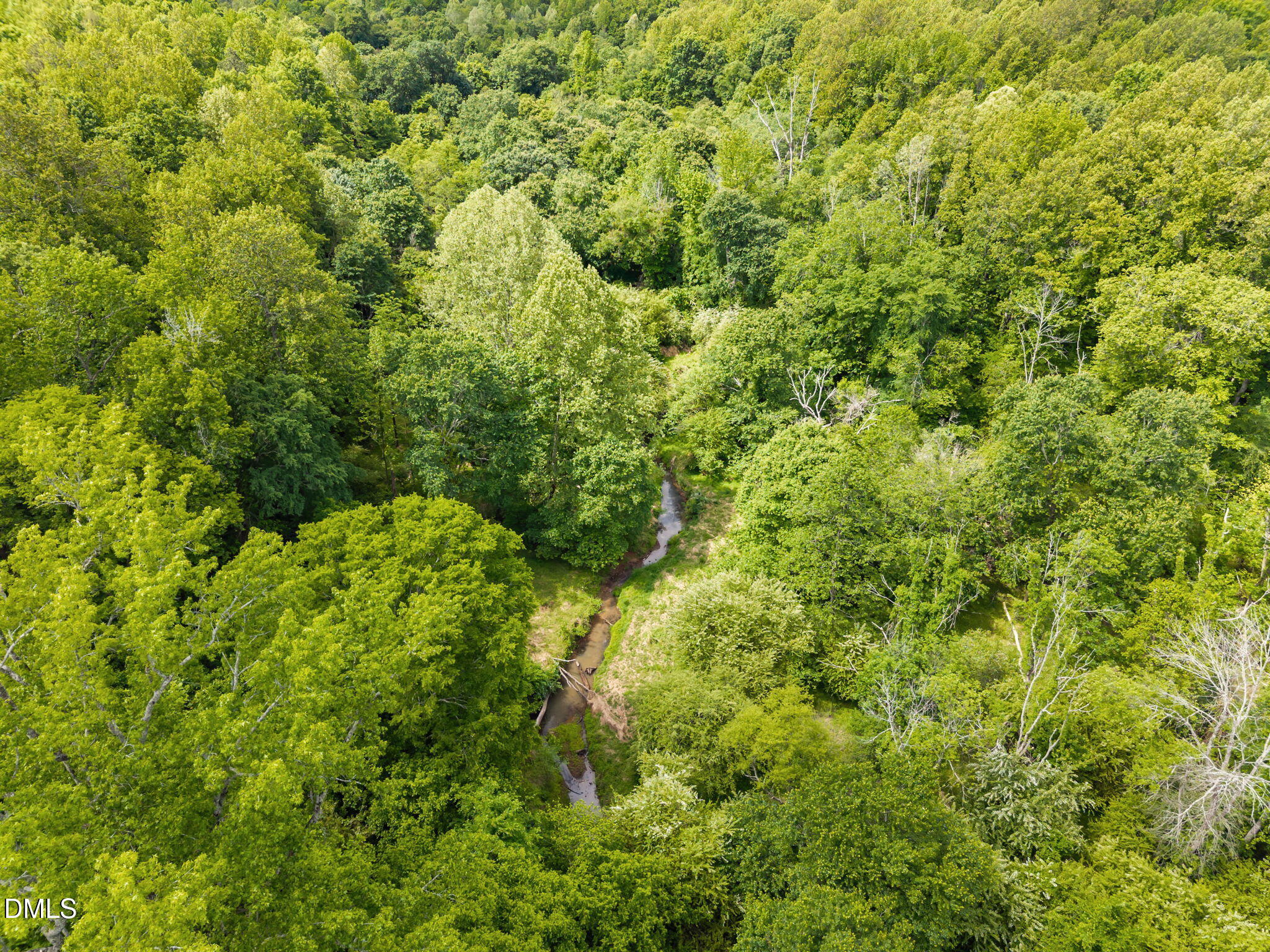 423 Quail Roost Farm Road Rougemont, NC 27572 - Photo 12 of 44 a view of a lush green forest