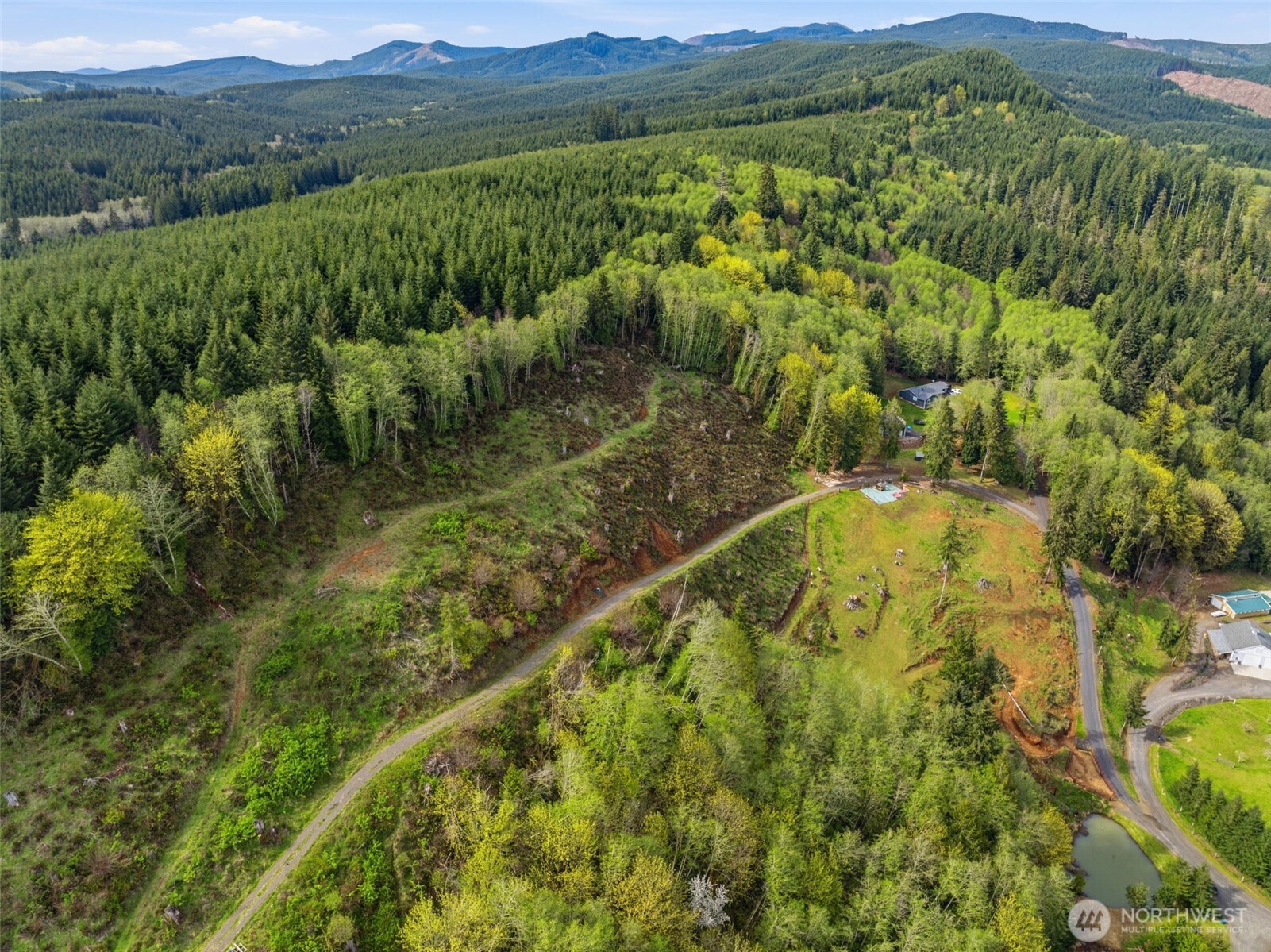 505 Apple Creek Road Longview, WA 98632 - Photo 4 of 7 a view of a lush green field with mountains in the background