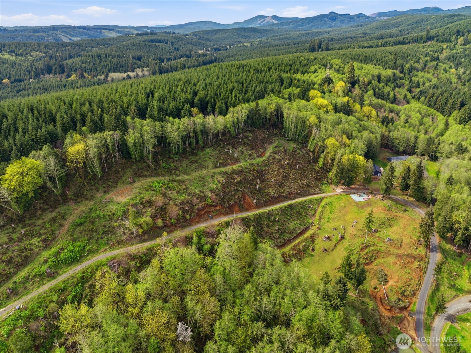 505 Apple Creek Road Longview, WA 98632 - Photo 5 of 7 a view of a lush green field with mountains in the background