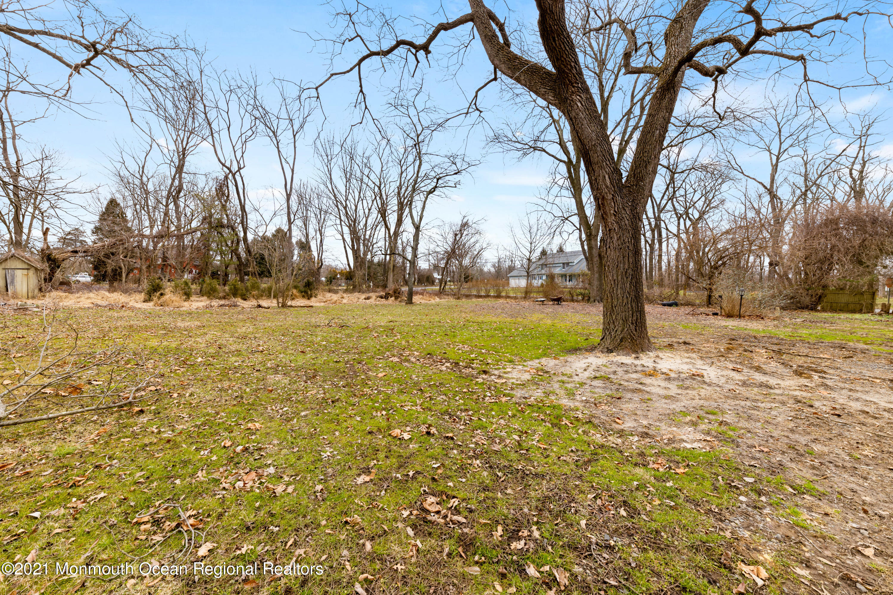 501 Province Line Road Allentown, NJ 08501 - Photo 24 of 24 a view of yard with trees
