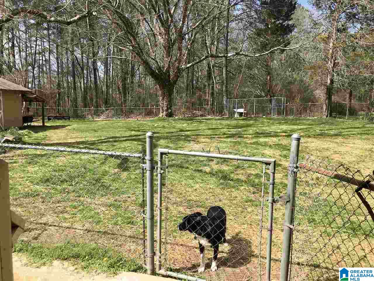 41825 Highway 25 Vincent, AL 35178 - Photo 9 of 23