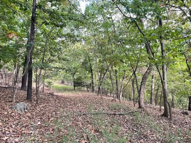 $12,000 | Oak Road, Lake Ozark, MO 65049