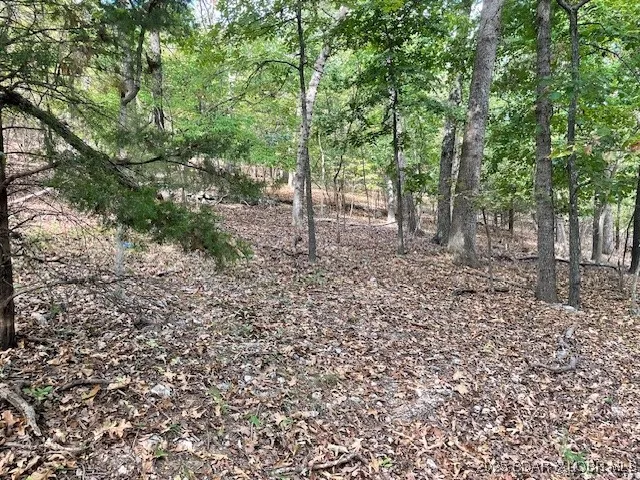 $12,000 | Oak Road, Lake Ozark, MO 65049