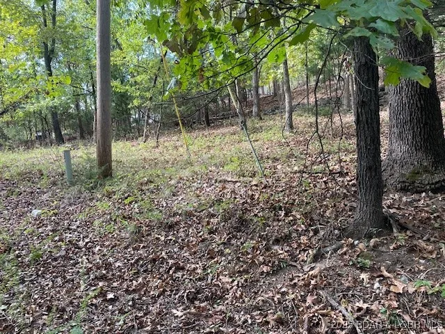 $12,000 | Oak Road, Lake Ozark, MO 65049
