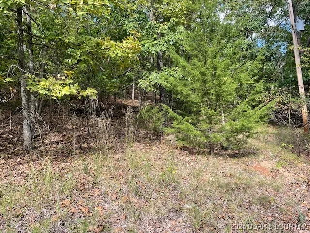 $12,000 | Oak Road, Lake Ozark, MO 65049