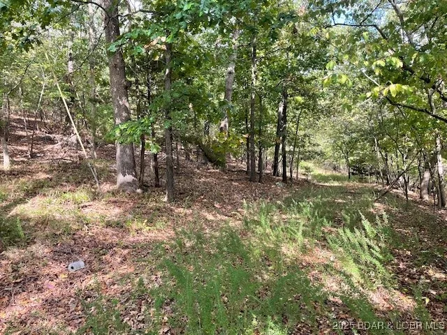 $12,000 | Oak Road, Lake Ozark, MO 65049