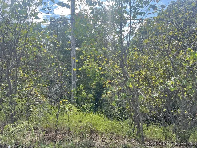 $12,000 | Oak Road, Lake Ozark, MO 65049