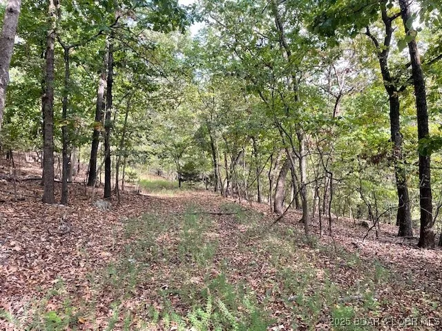 $12,000 | Oak Road, Lake Ozark, MO 65049