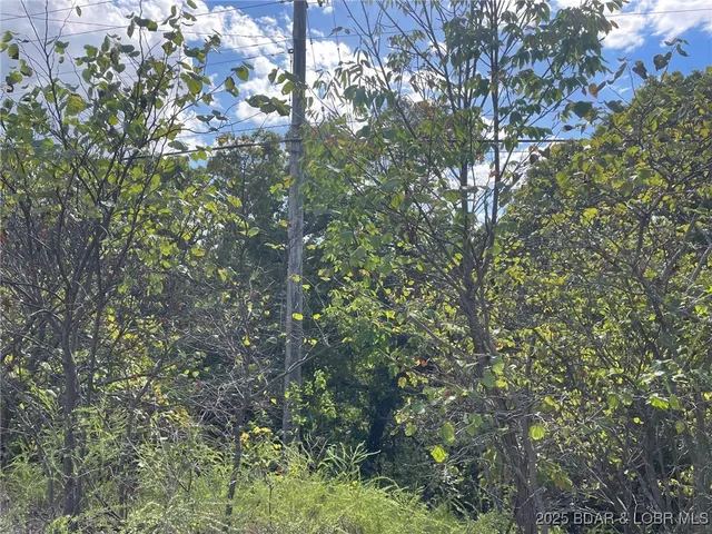 $12,000 | Oak Road, Lake Ozark, MO 65049