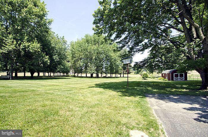 13227 Fork Road Baldwin, MD 21013 - Photo 26 of 30 Back Yard